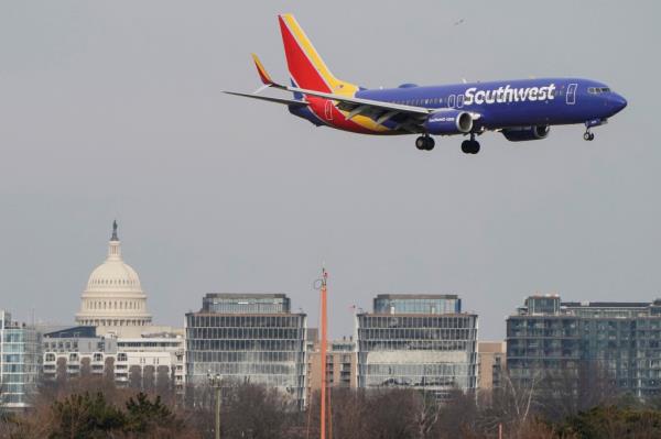 Southwest has apologized for the incident and filed a complaint on Thorne's behalf. 