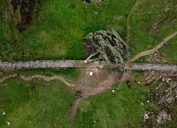 FILE PHOTO: General view of the felled Sycamore Gap in o<em></em>nce Brewed, Northumberland Natio<em></em>nal Park, Britain, September 28, 2023. REUTERS/Lee Smith/File Photo