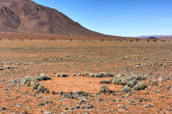 Fairy circles, located in the Namib Desert, in the Namib-Naukluft Natio<em></em>nal Park of Namibia.