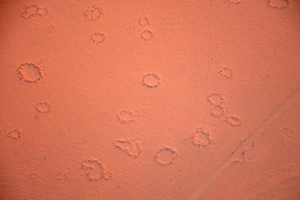 Aerial view of fairy circles. common natural phenomena occurring in the Namib Desert. Namib-Naukluft Natio<em></em>nal Park. Sossusvlei area. Sesriem. Namibia. (Photo by: Andre Seale/VW PICS/Universal Images Group via Getty Images)