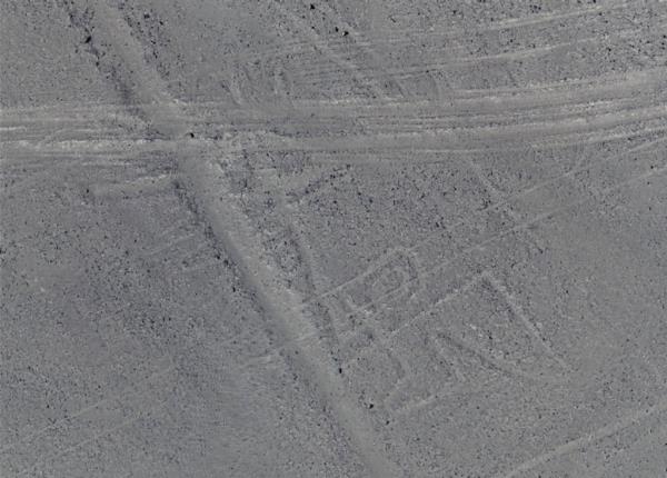 This Geoglyph depicts a bird. 