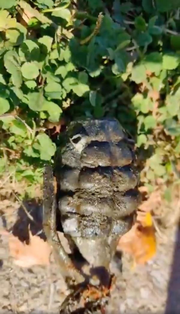 One of the grenades was found near Long Island City.