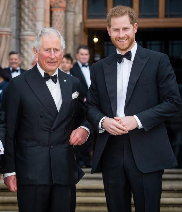 King Charles smiles alo<em></em>ngside son Prince Harry.