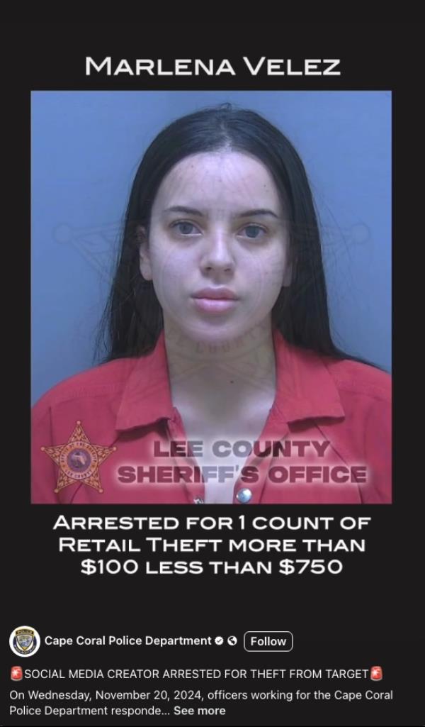 The TikTokker’s crime also brought to light her prior criminal history.