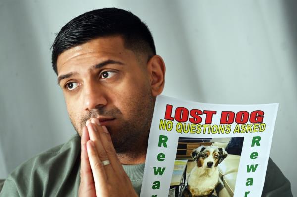 Baneet Pabla appears to be praying while posing with the lost dog poster. The poster includes a photo of a 4-year-old Australian Shepherd named Ozi.