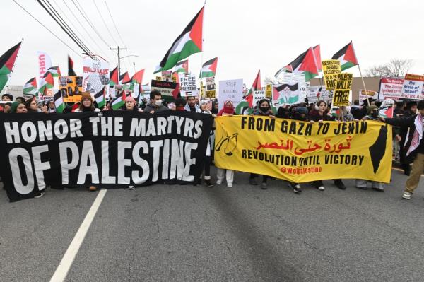 Long Island protesters