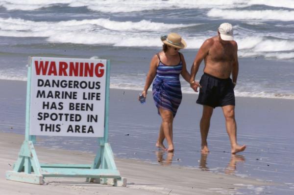 Shark warning sign