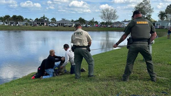 St. Lucie County Sheriff's Office shows law enforcement officers and Florida Fish and Wildlife investigators respo<em></em>nding to a deadly alligator attack on an 85-year-old woman who was walking her dog, in Fort Pierce, Florida on February 20, 2023.