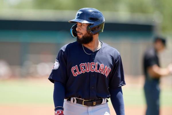 A ba<em></em>seball prospect incited a brawl during a game after he appeared to shove an umpire before aiming a punch at an opponent